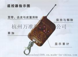 贵金属吊秤，铁壳吊秤，铁壳吊磅