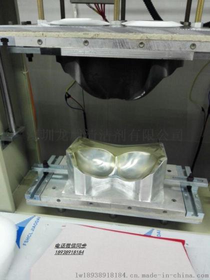 龙威LW313内衣模具清洗剂