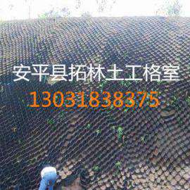 厂家供应 坡面植草固土绿化网格室 公路护坡塑料蜂巢土工格室