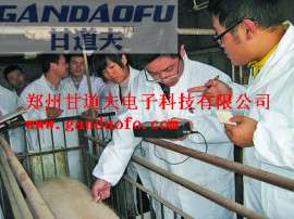 猪用B超测孕怎样使用，猪用B超报价价格