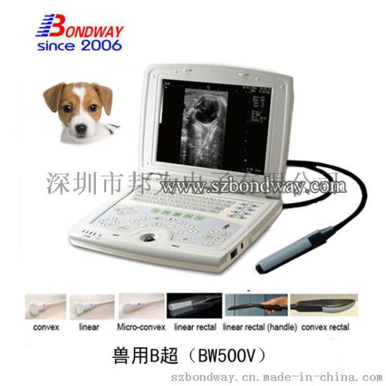 特价促销 高清B超机 操作简单便携式B超机 B超设备 宠物医疗器械 宠物B超