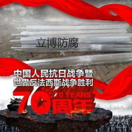 成套锌接地电池