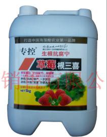 草莓烂根根系弱不长新根专用药根腐病黄枯萎病特效药改善草莓根部土壤环境