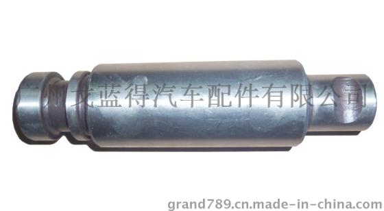 SCANIA斯堪尼亚钢板肖P1090159