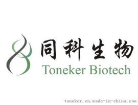 同科生物RT-PCR技术服务