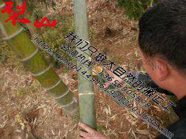 活鲜竹酒厂家招全国代理批发经销商