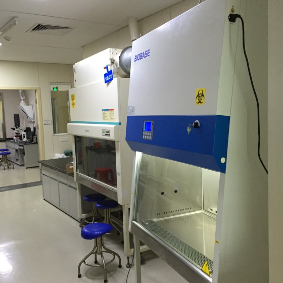 11b2安全柜BSC-1100IIB2-X单人全排生物安全柜