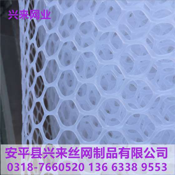 现货塑料平网，雏鸡塑料踩踏网，聚乙烯塑料网厂家