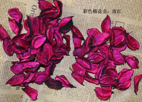 玫红色棉花壳 天然干花材料批量供应厂家直销量大从优