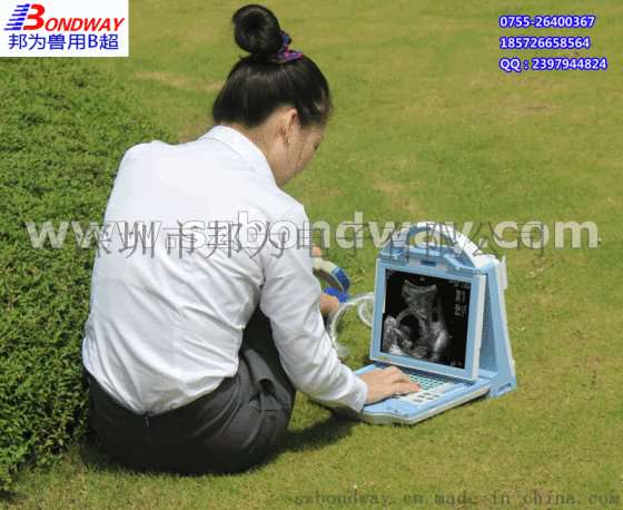 兽用B超 宠物医院 养殖场 繁殖业 畜牧业 专用B超扫描仪 胚胎移植检测仪 宠物医疗