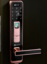 萤石指纹密码锁CS-DL2-STBT300X28-NZ