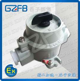 SW-10 防爆照明开关 220V单联 谷子防爆