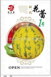 高糖 脆肉 花皮 薄皮 甜瓜种子  粒尔田花蕾一号甜瓜种子