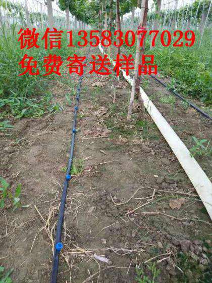 亿碧源厂家供应安徽大棚滴灌大棚微喷