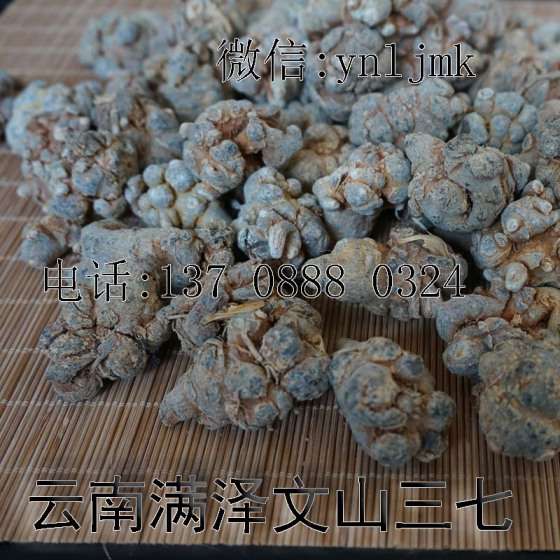 云南满泽文山三七“止血神药”散瘀血，云满泽三七止血而不留瘀