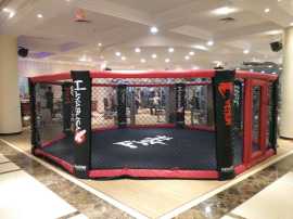 简易版 便宜版 训练版八角格斗笼 落地格斗笼 MMA UFC综合八角格斗笼子拳击台 大小颜色均可订做