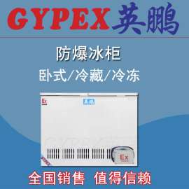 常州化学防爆冰箱制造商，300L