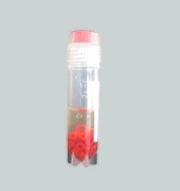 友康瓷珠法菌株保存用菌种保存管