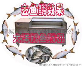 鱼鳞机 去鱼鳞机 打鳞机