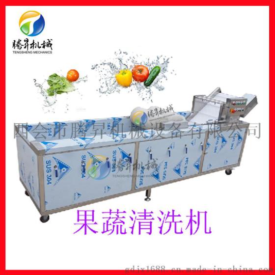 供应不锈钢连续式洗菜机水果蔬菜清洗机厂家直销 可根据要求定做