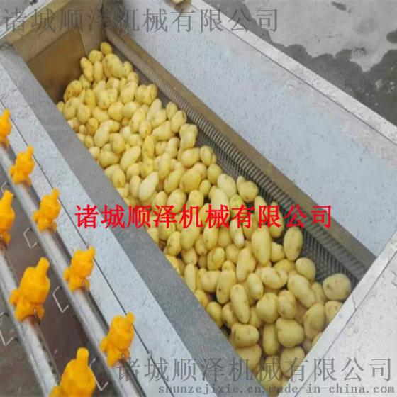 专业生产蔬菜清洗机，叶类蔬菜清洗机，根茎类蔬菜清洗机