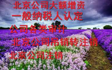 北京顺义区公司怎样注销