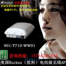 ruckus T710 优科T710 ruckus901-T710-WW01 室外AP