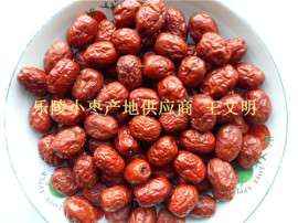 乐陵金丝小枣产地价格