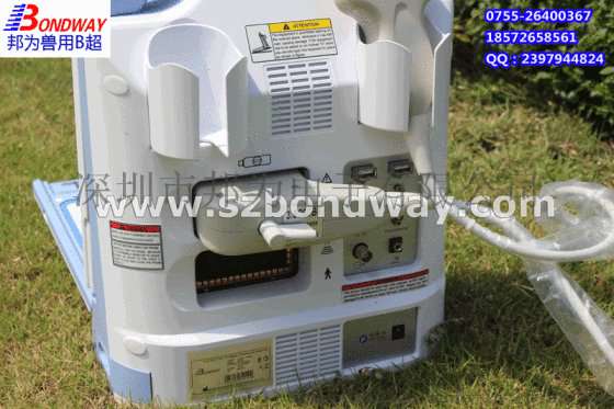 兽用B超机器 宠物医疗设备 兽用器械