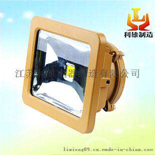 LED泛光灯50w，LED防爆泛光灯，小功率泛光灯