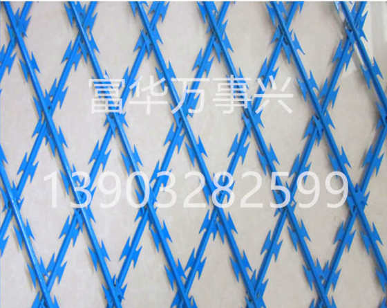 刀片刺绳 篱笆防护网 BTO-22