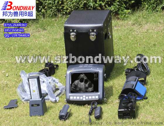 BW560V 宠物医疗用品 宠物医疗设备兽用B超价格 兽用医疗器械 畜牧医疗 宠物医疗