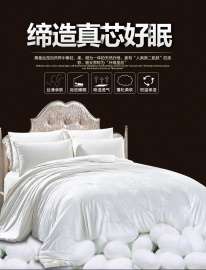 常久蚕丝被批发全棉新款