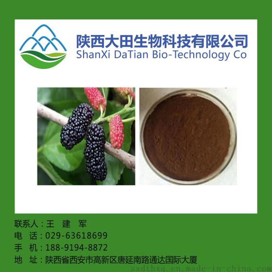 桑椹提取物10:1  补肝益肾熄风滋液