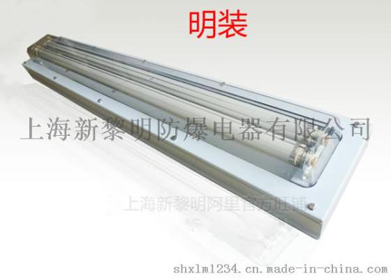 新黎明BHY/BJY-2*40W防爆洁净荧光灯，防爆净化荧光灯，喷漆专用防爆荧光灯