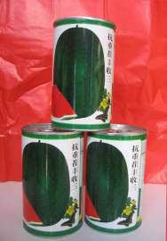 抗重茬 超甜大果西瓜种子 粒尔田抗重茬三连冠西瓜种子