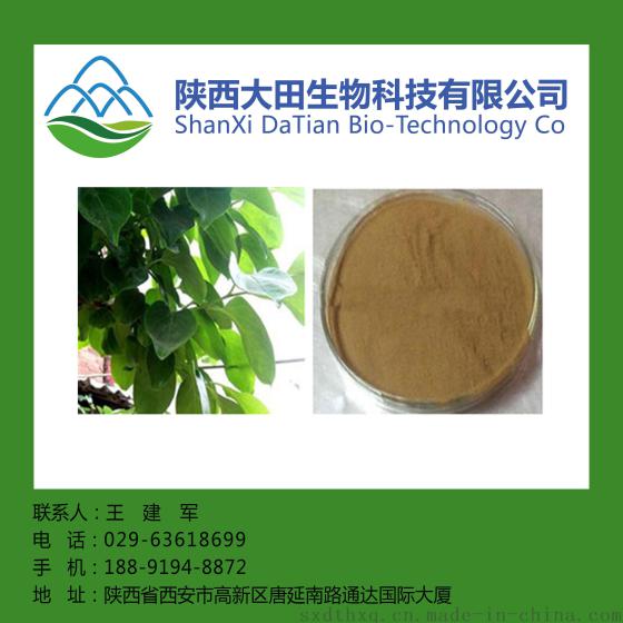 西安现货柿子叶提取物10:1