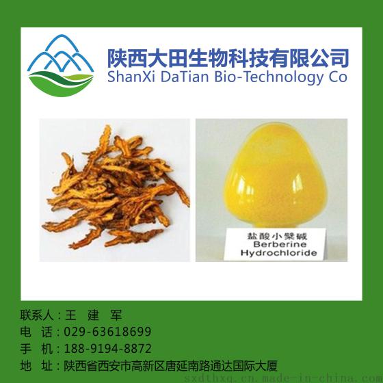 厂家直供刺黄连提取物98% 黄连素