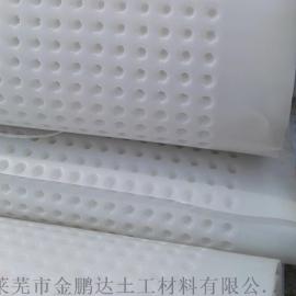 各种颜色防渗耐腐蚀塑料排水板防水板厂家成本价直销