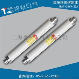厂家直销高压限流熔断器XRNT-35/31.5A 76*607mm