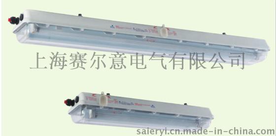 BAY51-Q36*2防爆荧光灯，ATEX认证，船用防爆灯