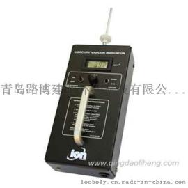 英国离子MVI汞蒸汽检测仪