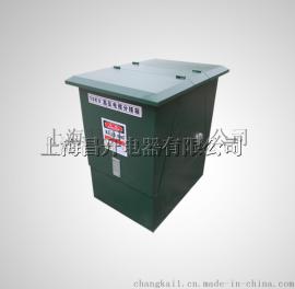 DFW-12/630A 10KV高压欧式电缆分支箱分接箱 一进一出