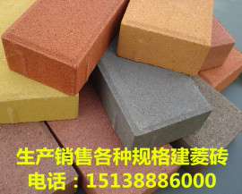 供应厂家直销建菱透水砖200*100*60广场砖