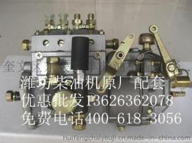 正宗的潍坊柴油机4105喷油泵优质全新 全国联保