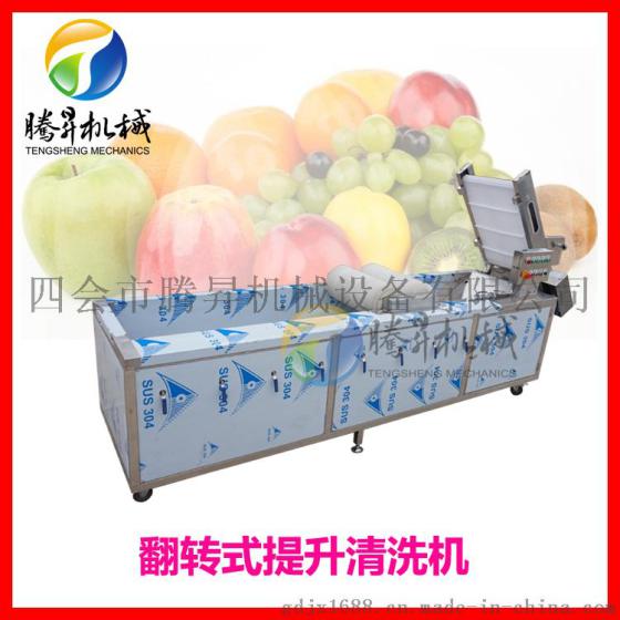 供应不锈钢连续式果蔬清洗机 水果清洗机 果脯生产线 可根据要求定做