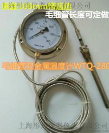 毛细管温度表双金属温度计0-300度表盘100mm带后边