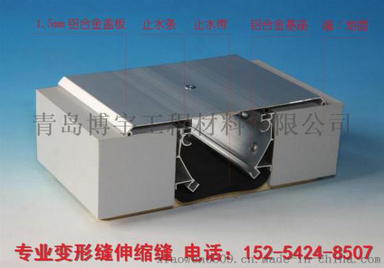 泰安 伸缩缝厂家 SE
