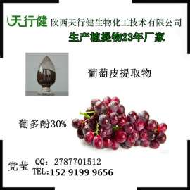 厂家直销 葡萄皮提取物 30%葡多酚 抗氧化抗自由基