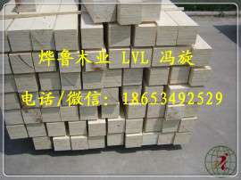 生产杨木LVL顺向板、包装箱用LVL木方木条